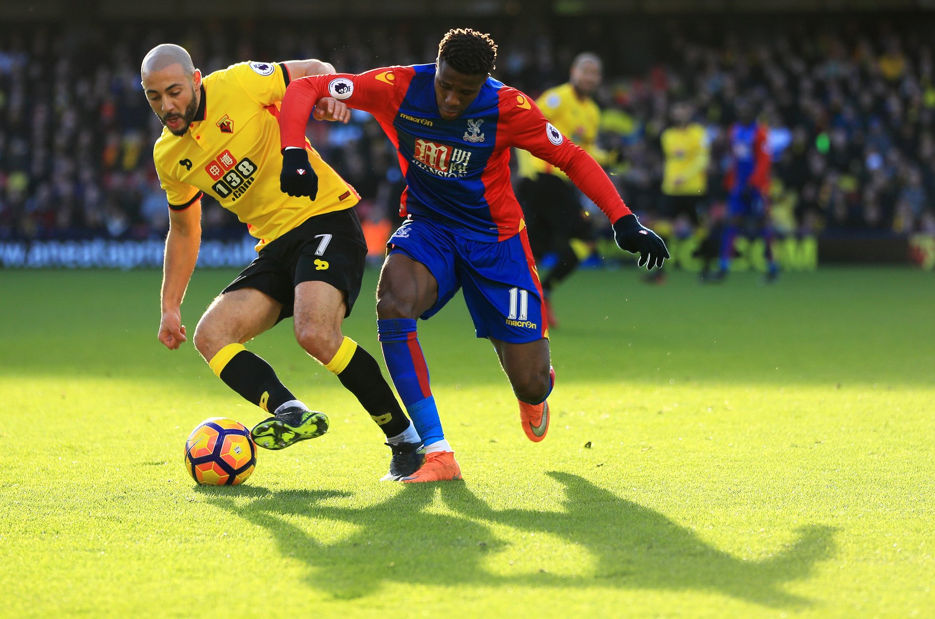 西蒙尼才能 西蒙尼才能